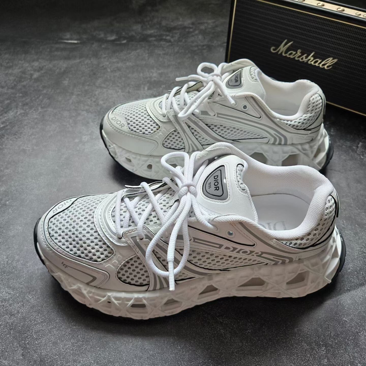 Dior B35 White Sneakers