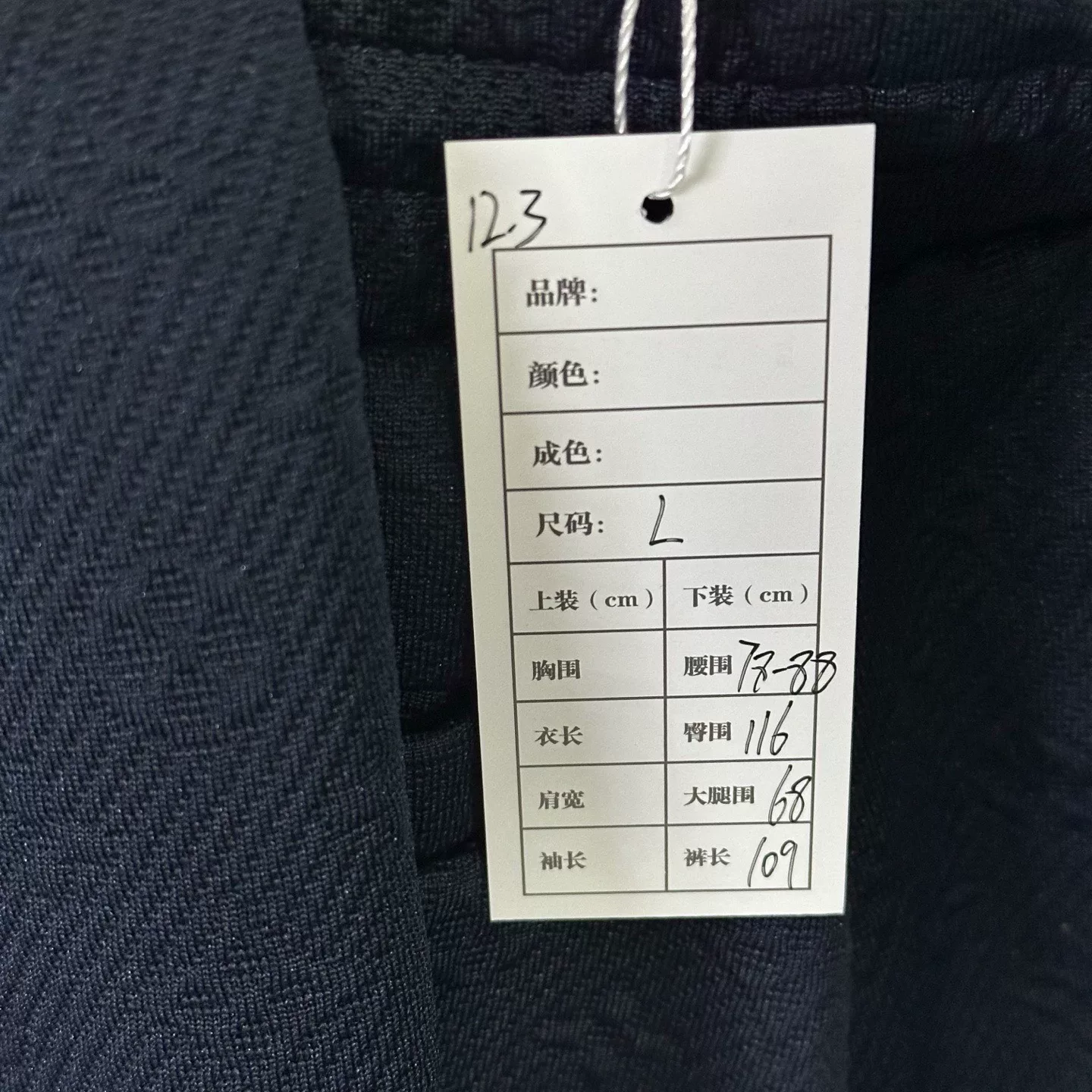 Louis Vuitton Blue Relief L Pants — label