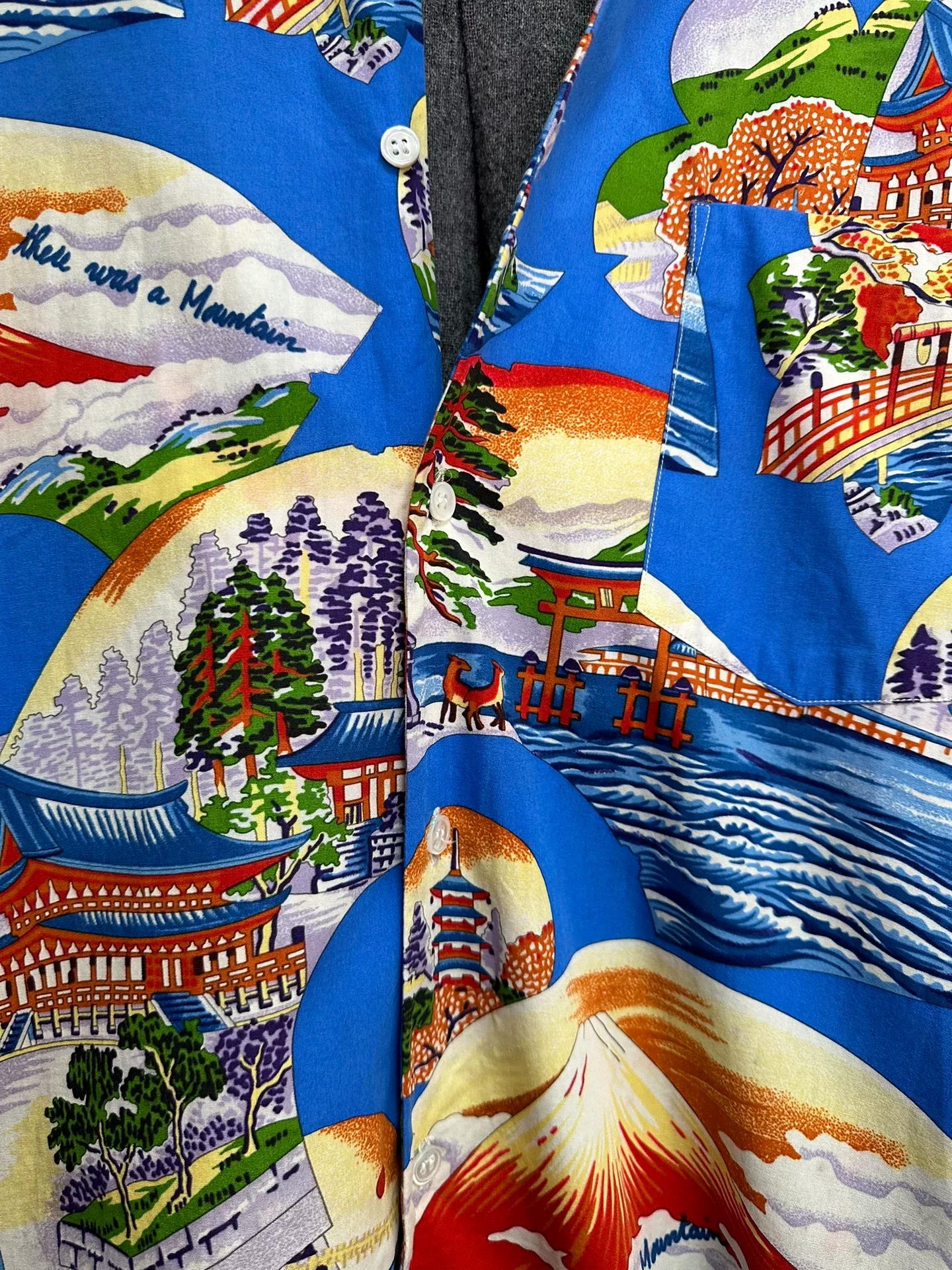 Comme des Garçons 99AW Mount Fuji Fleece Shirt — label