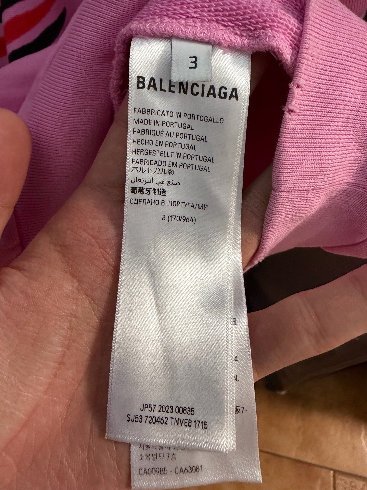 Balenciaga Pink Wave Logo Sweatshirt — back