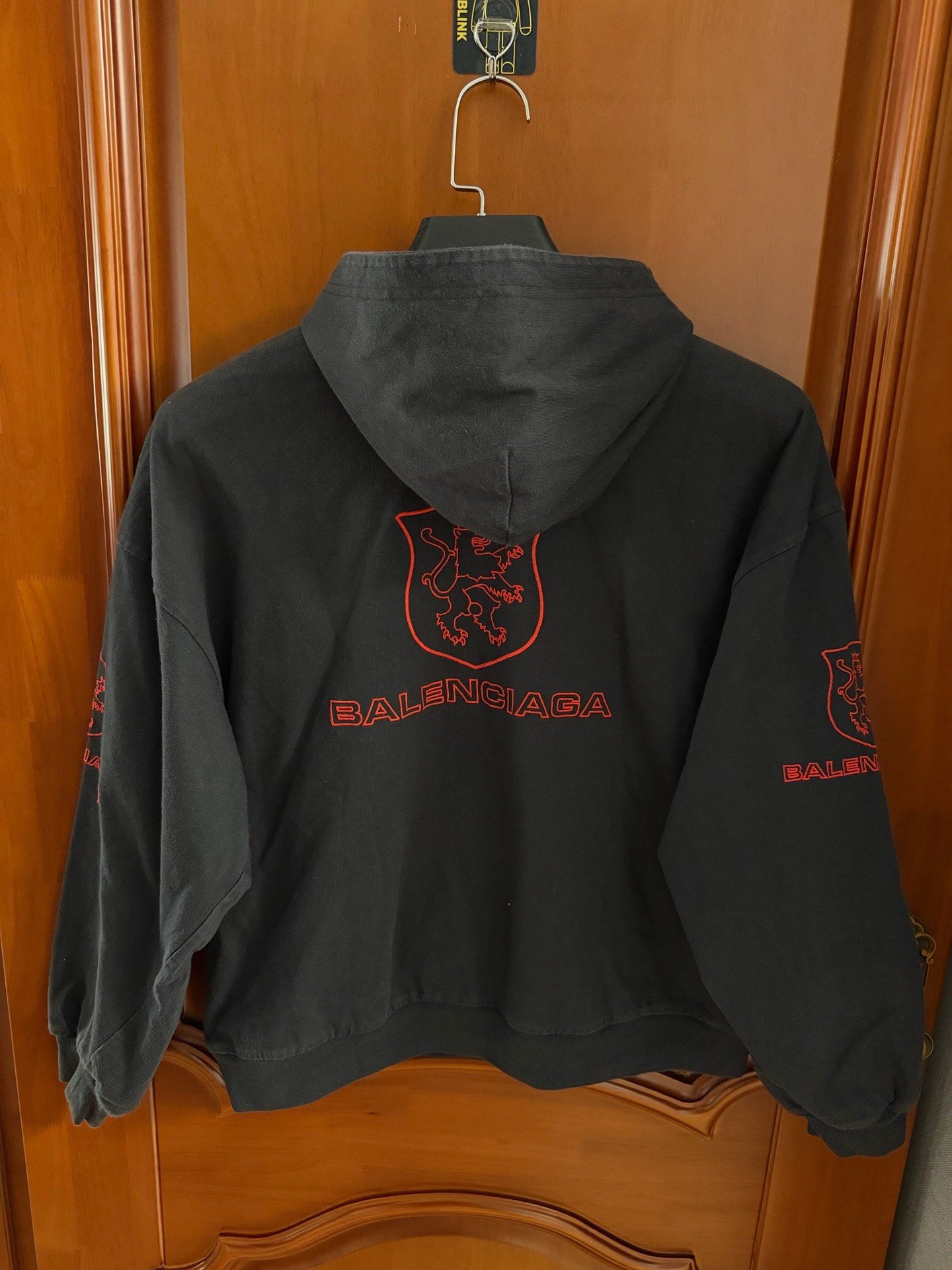 Balenciaga Lion Logo Embroidered Hoodie — front