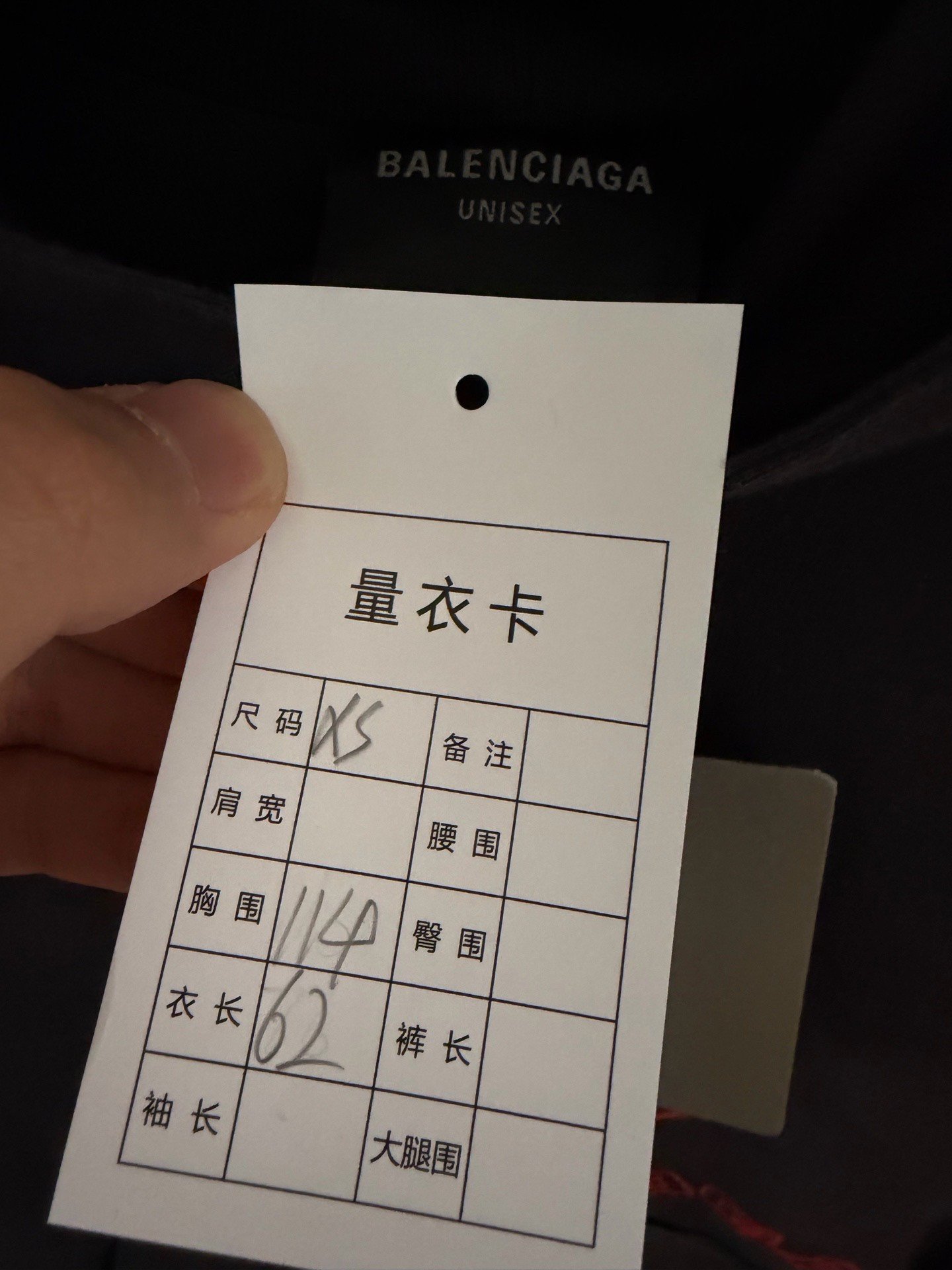 Balenciaga Lion Logo Embroidered Hoodie — detail