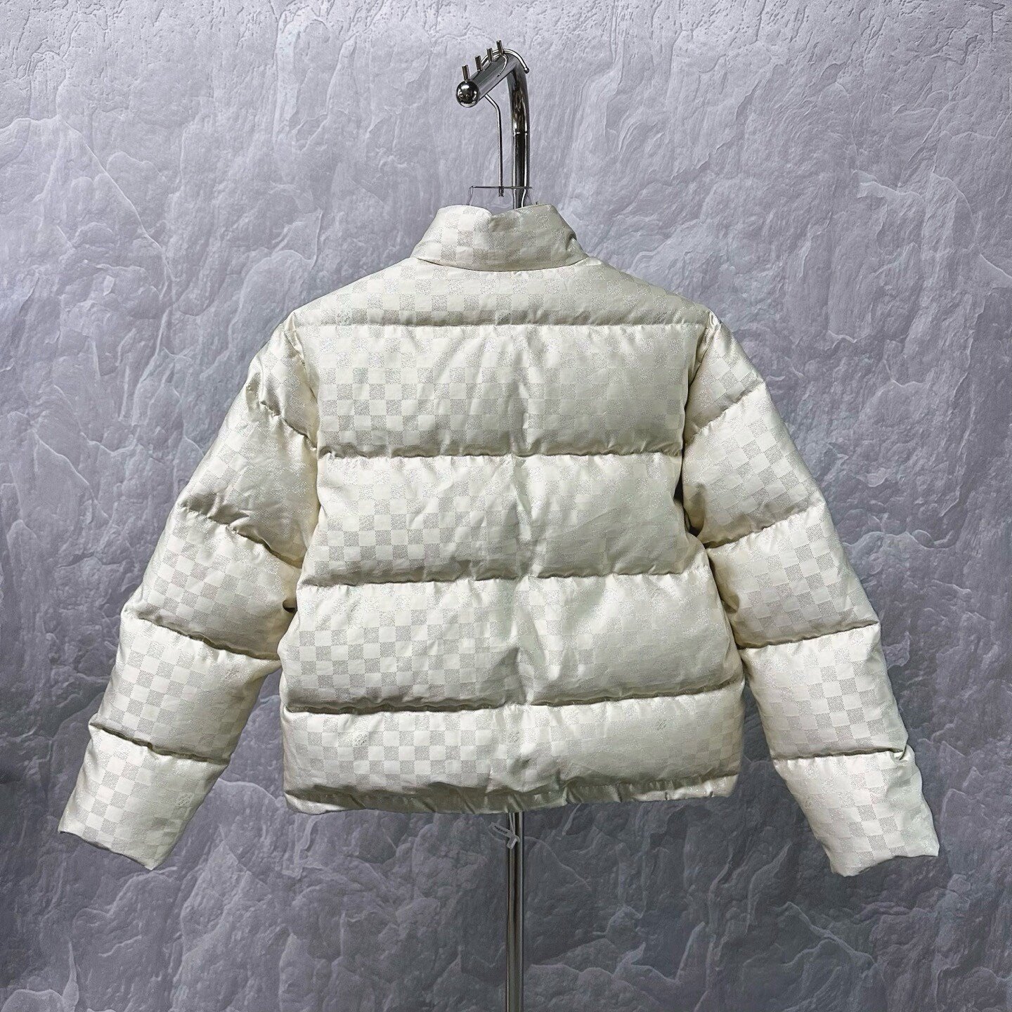Louis Vuitton Damier Silver Down Jacket — back