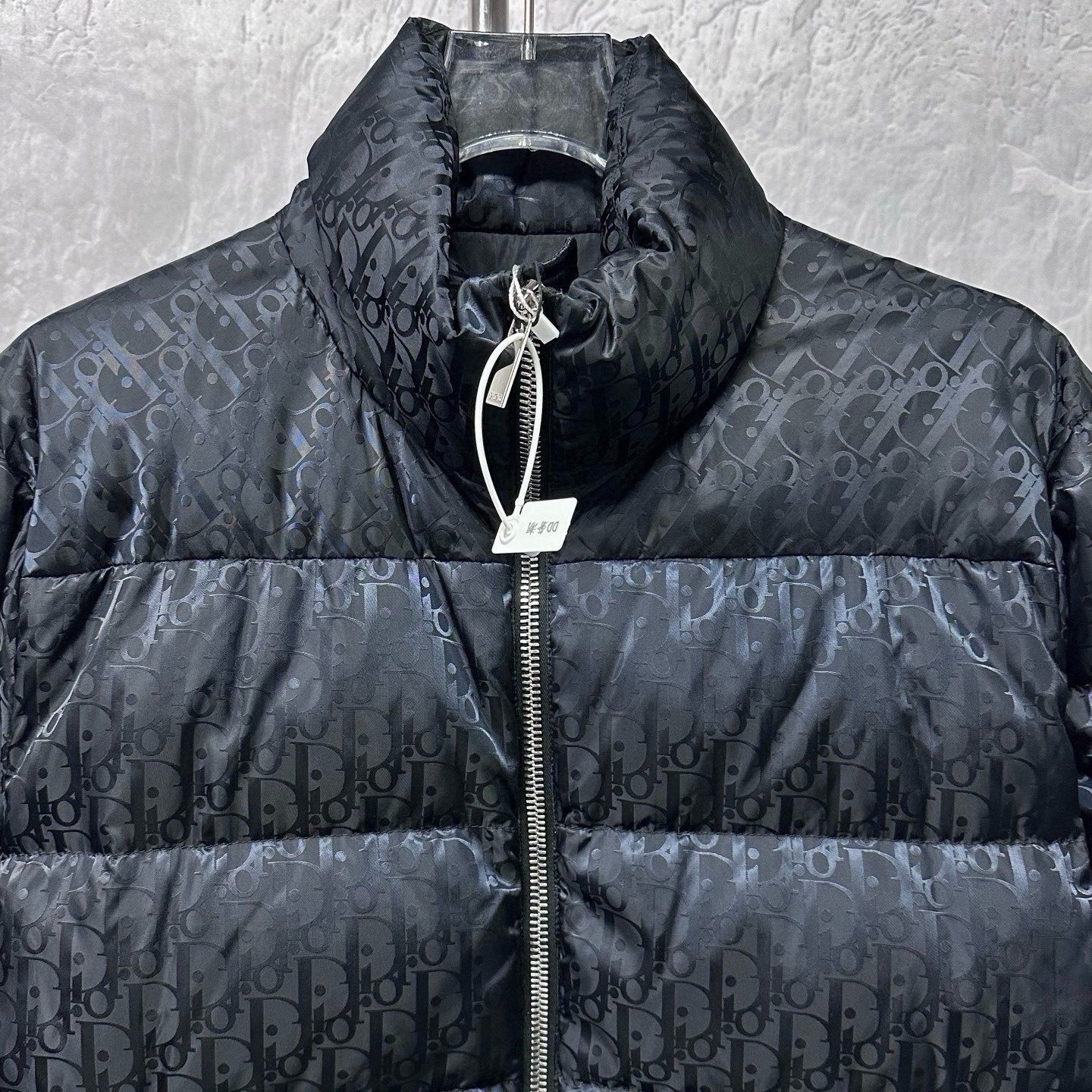 Dior Stand Collar Logo Print Down Jacket — front