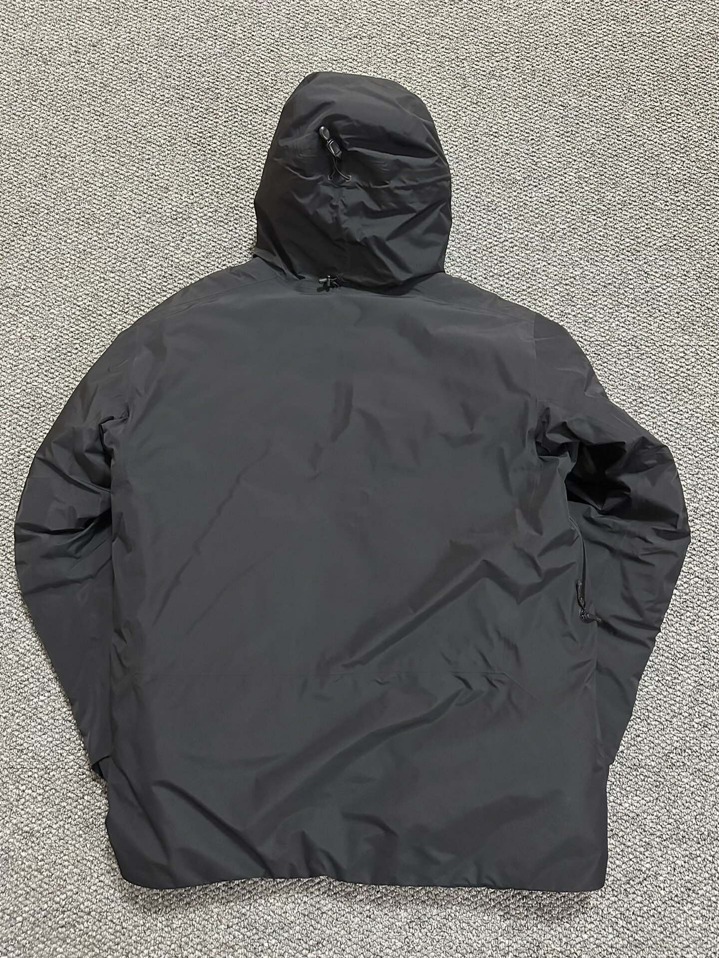 Arc'teryx Beta Down Jacket — back