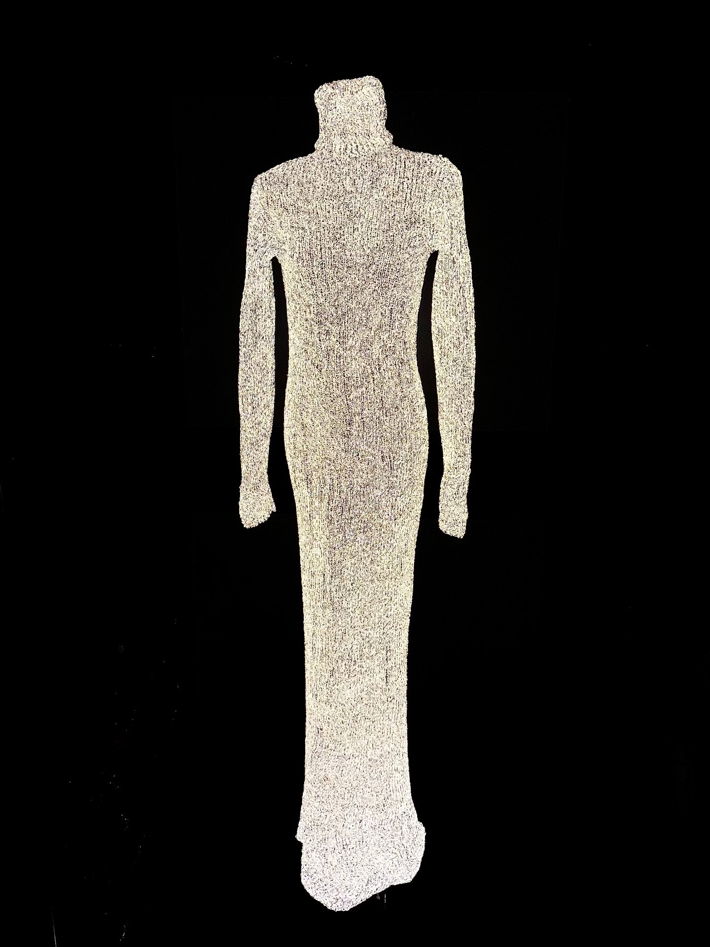 Carol Christian Poell Reflective Long Dress — detail