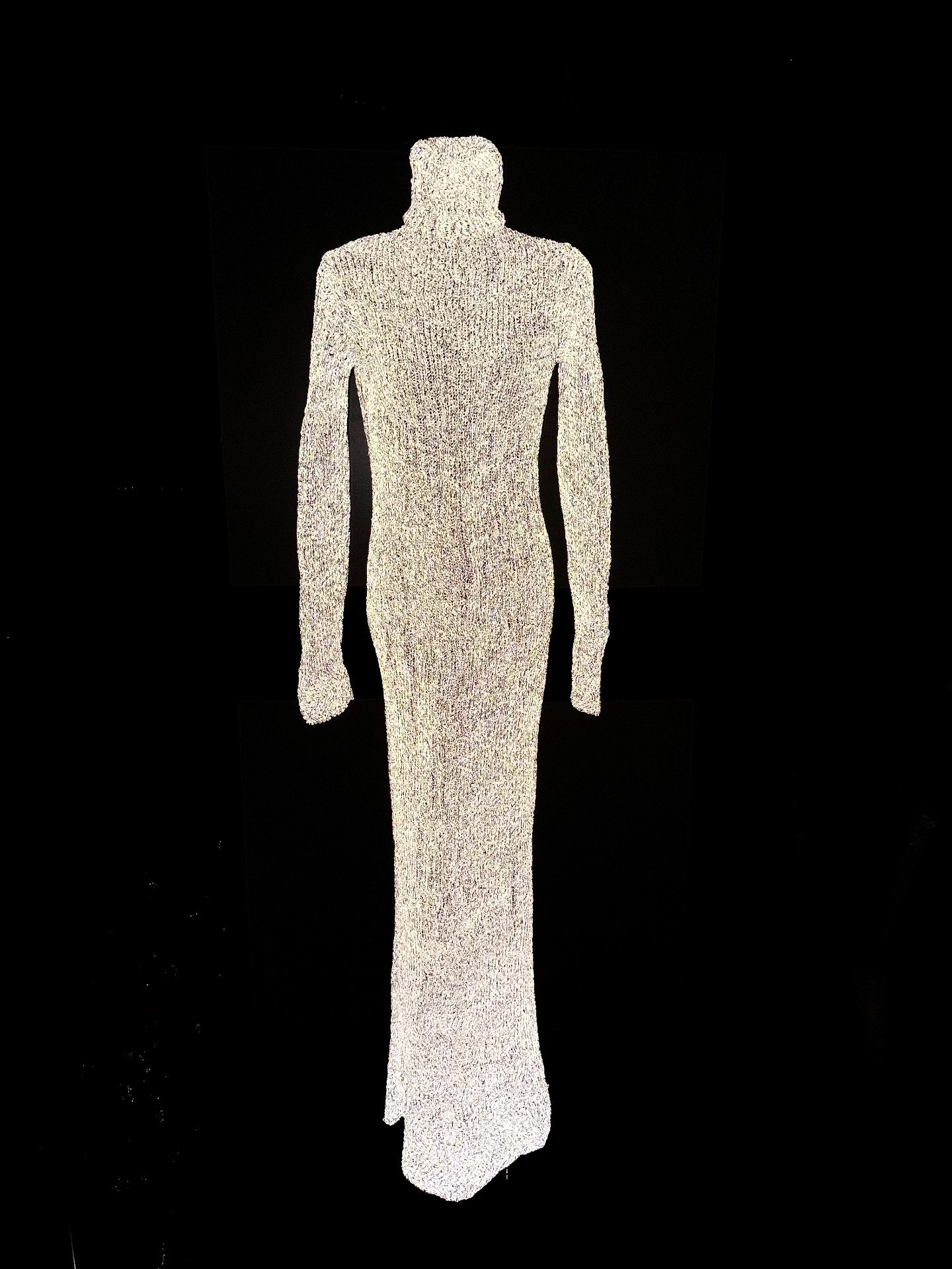 Carol Christian Poell Reflective Long Dress