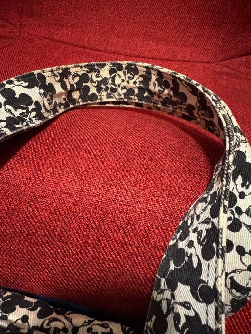 Porter×Beams Mickey Boston Bag Discontinued — detail