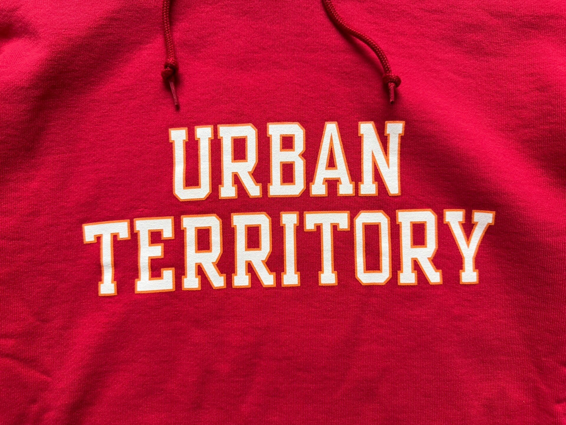 WTAPS 19SS Urban Territory Design Hoodie — back